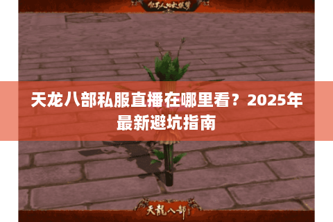 天龙八部私服直播在哪里看？2025年最新避坑指南
