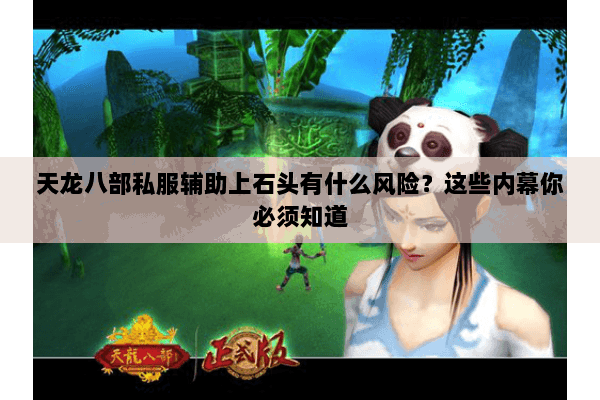 天龙八部私服辅助上石头有什么风险?这些内幕你必须知道 天龙八部私服辅助上石头有什么风险?这些内幕你必须知道