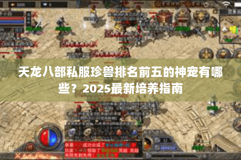 天龙八部私服珍兽排名前五的神宠有哪些？2025最新培养指南