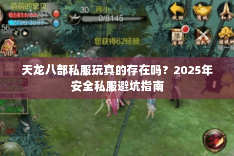 天龙八部私服玩真的存在吗？2025年安全私服避坑指南