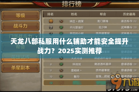 天龙八部私服用什么辅助才能安全提升战力？2025实测推荐