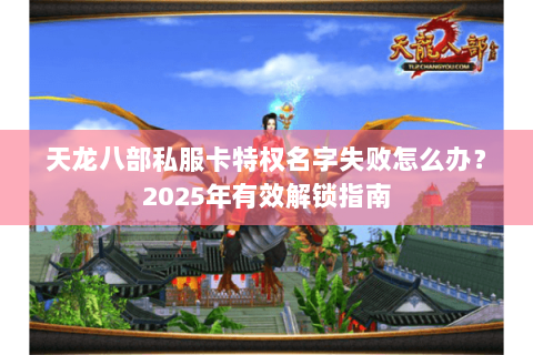 天龙八部私服卡特权名字失败怎么办？2025年有效解锁指南