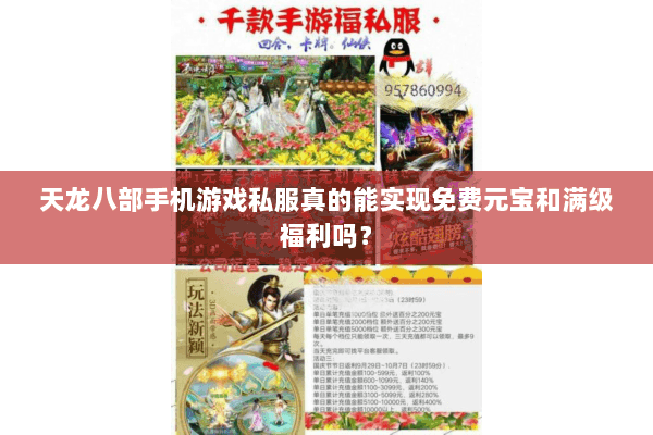 天龙八部手机游戏私服真的能实现免费元宝和满级福利吗？