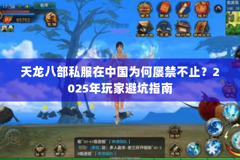 天龙八部私服在中国为何屡禁不止？2025年玩家避坑指南