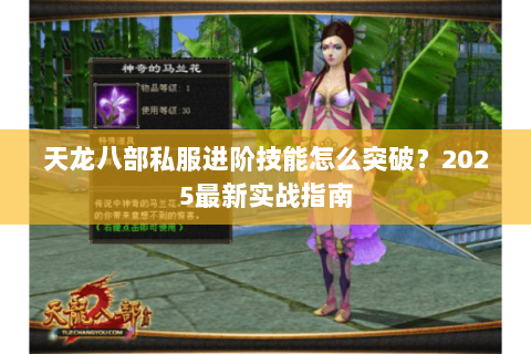 天龙八部私服进阶技能怎么突破？2025最新实战指南