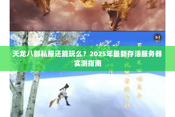 天龙八部私服还能玩么？2025年最新存活服务器实测指南