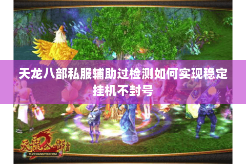 天龙八部私服辅助过检测如何实现稳定挂机不封号