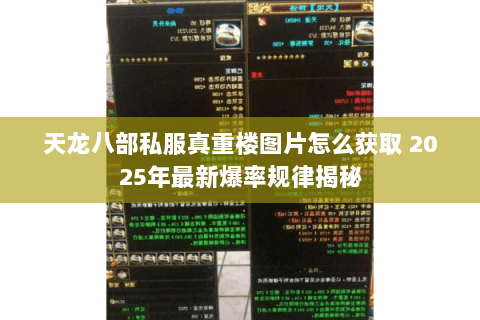 天龙八部私服真重楼图片怎么获取 2025年最新爆率规律揭秘