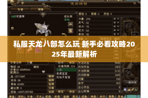 私服天龙八部怎么玩 新手必看攻略2025年最新解析