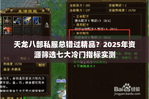 天龙八部私服总错过精品？2025年资源筛选七大冷门指标实测