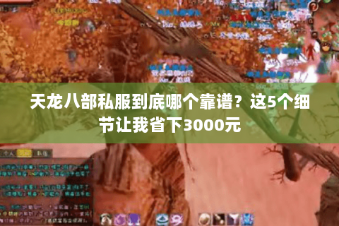 天龙八部私服到底哪个靠谱？这5个细节让我省下3000元