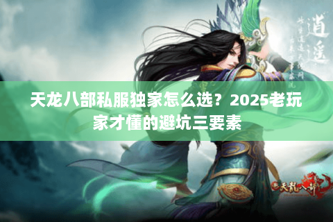天龙八部私服独家怎么选？2025老玩家才懂的避坑三要素