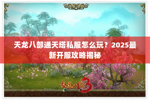 天龙八部通天塔私服怎么玩？2025最新开服攻略揭秘