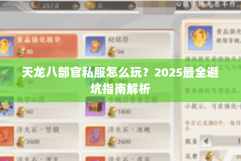 天龙八部官私服怎么玩？2025最全避坑指南解析