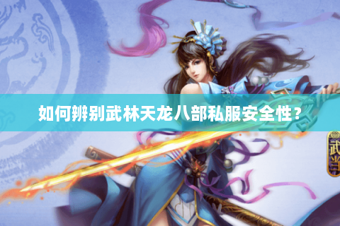 如何辨别武林天龙八部私服安全性？