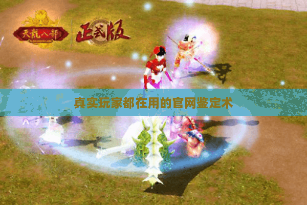 真实玩家都在用的官网鉴定术 真实玩家都在用的官网鉴定术