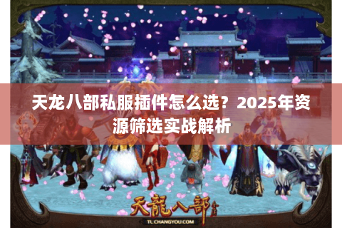 天龙八部私服插件怎么选？2025年资源筛选实战解析