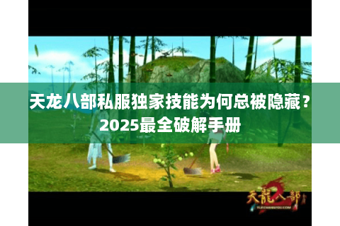 天龙八部私服独家技能为何总被隐藏?2025最全破解手册 天龙八部私服独家技能为何总被隐藏?2025最全破解手册