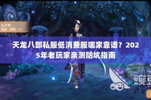 天龙八部私服低消费服哪家靠谱？2025年老玩家亲测防坑指南