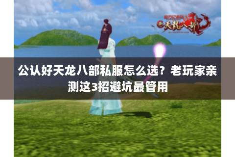 公认好天龙八部私服怎么选？老玩家亲测这3招避坑最管用