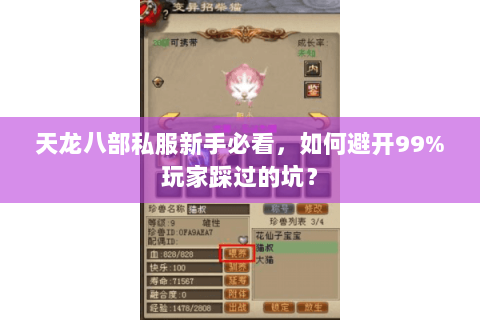 天龙八部私服新手必看，如何避开99%玩家踩过的坑？