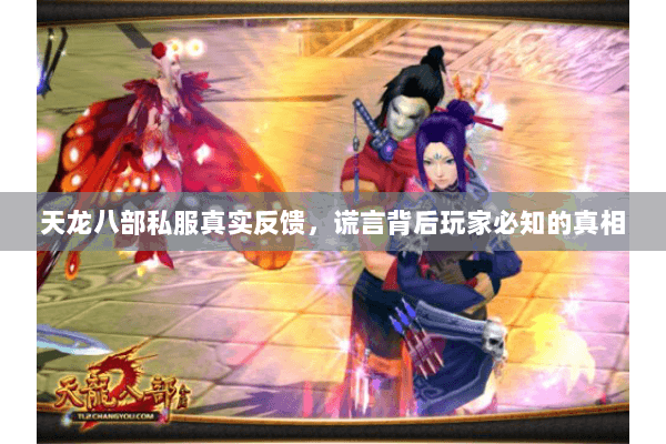 天龙八部私服真实反馈，谎言背后玩家必知的真相