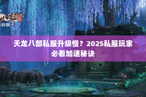 天龙八部私服升级慢？2025私服玩家必看加速秘诀