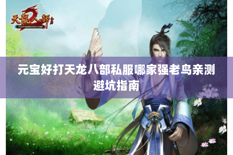 元宝好打天龙八部私服哪家强老鸟亲测避坑指南