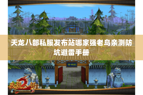 天龙八部私服发布站哪家强老鸟亲测防坑避雷手册