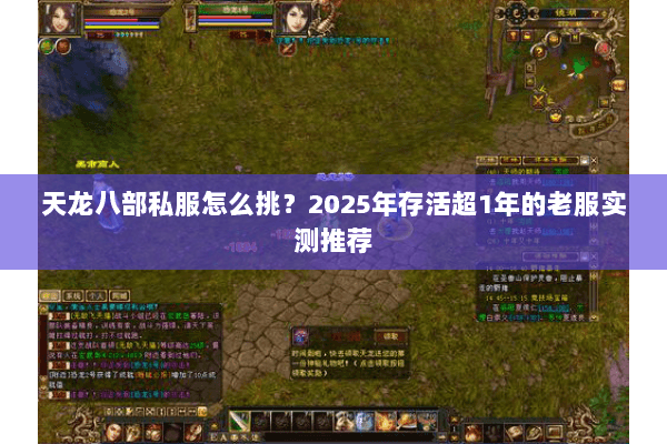 天龙八部私服怎么挑？2025年存活超1年的老服实测推荐
