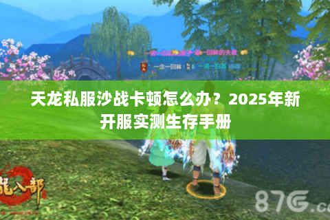 天龙私服沙战卡顿怎么办？2025年新开服实测生存手册
