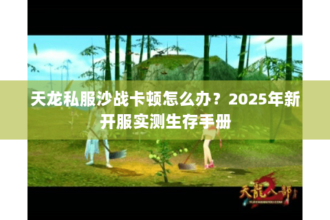 天龙私服沙战卡顿怎么办？2025年新开服实测生存手册