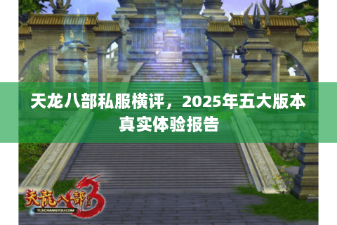 天龙八部私服横评，2025年五大版本真实体验报告