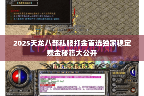2025天龙八部私服打金首选独家稳定赚金秘籍大公开