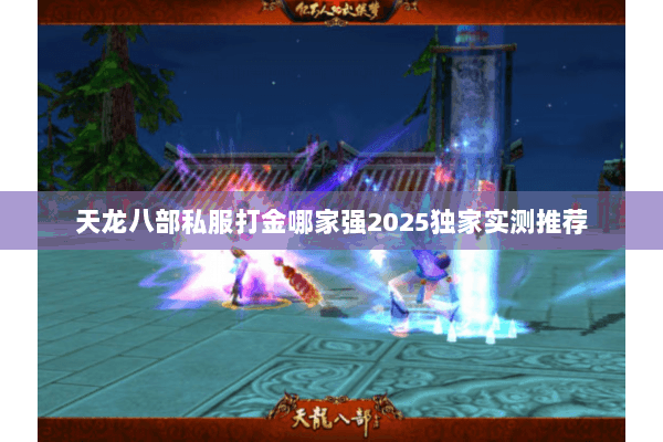 天龙八部私服打金哪家强2025独家实测推荐