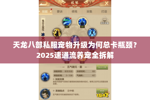 天龙八部私服宠物升级为何总卡瓶颈？2025速通流养宠全拆解
