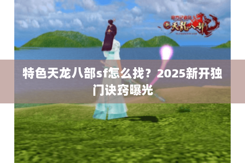特色天龙八部sf怎么找？2025新开独门诀窍曝光