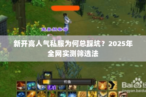 新开高人气私服为何总踩坑？2025年全网实测筛选法