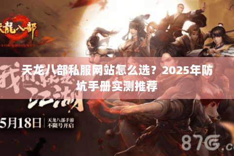 天龙八部私服网站怎么选？2025年防坑手册实测推荐
