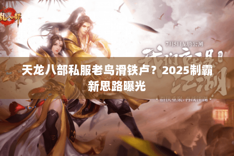 天龙八部私服老鸟滑铁卢?2025制霸新思路曝光 天龙八部私服老鸟滑铁卢?2025制霸新思路曝光