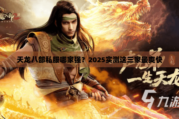 天龙八部私服哪家强？2025实测这三家最爽快