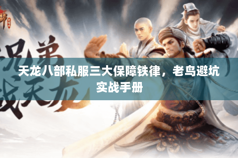 天龙八部私服三大保障铁律,老鸟避坑实战手册 天龙八部私服三大保障铁律,老鸟避坑实战手册