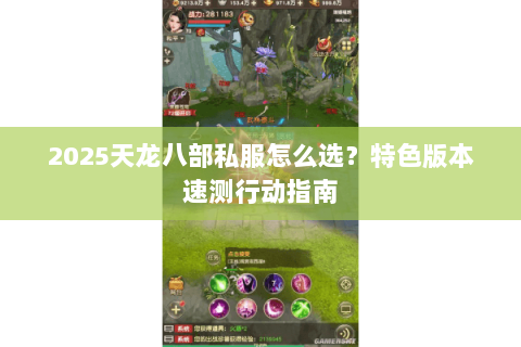 2025天龙八部私服怎么选？特色版本速测行动指南