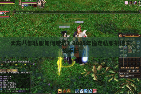 天龙八部私服如何避坑？2025年稳定私服挑选实战手册