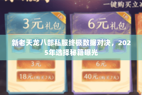 新老天龙八部私服终极数据对决，2025年选择秘籍曝光