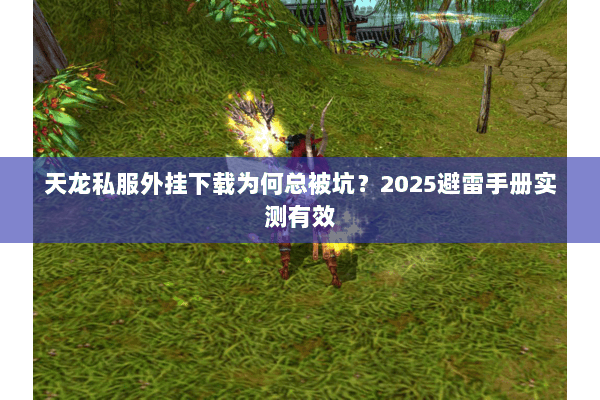 天龙私服外挂下载为何总被坑？2025避雷手册实测有效