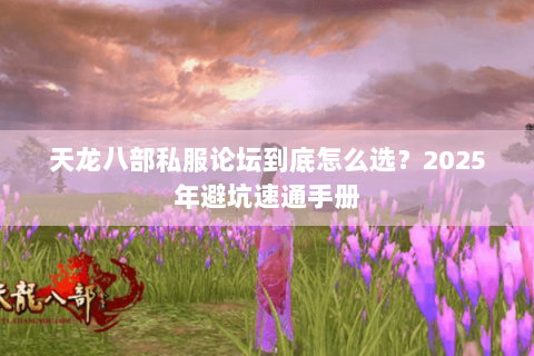 天龙八部私服论坛到底怎么选？2025年避坑速通手册