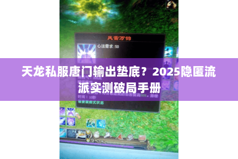 天龙私服唐门输出垫底？2025隐匿流派实测破局手册