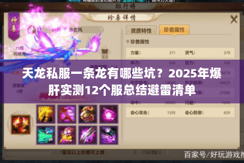天龙私服一条龙有哪些坑？2025年爆肝实测12个服总结避雷清单