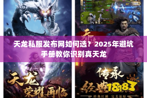 天龙私服发布网如何选？2025年避坑手册教你识别真天龙